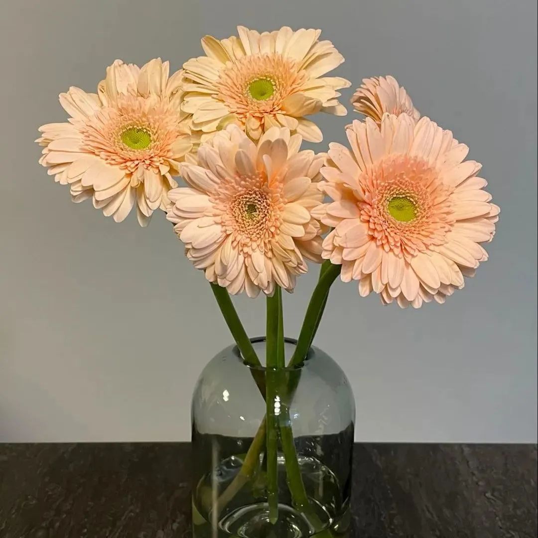 新手必看鲜花养护攻略,鲜花在水里能养几天会死