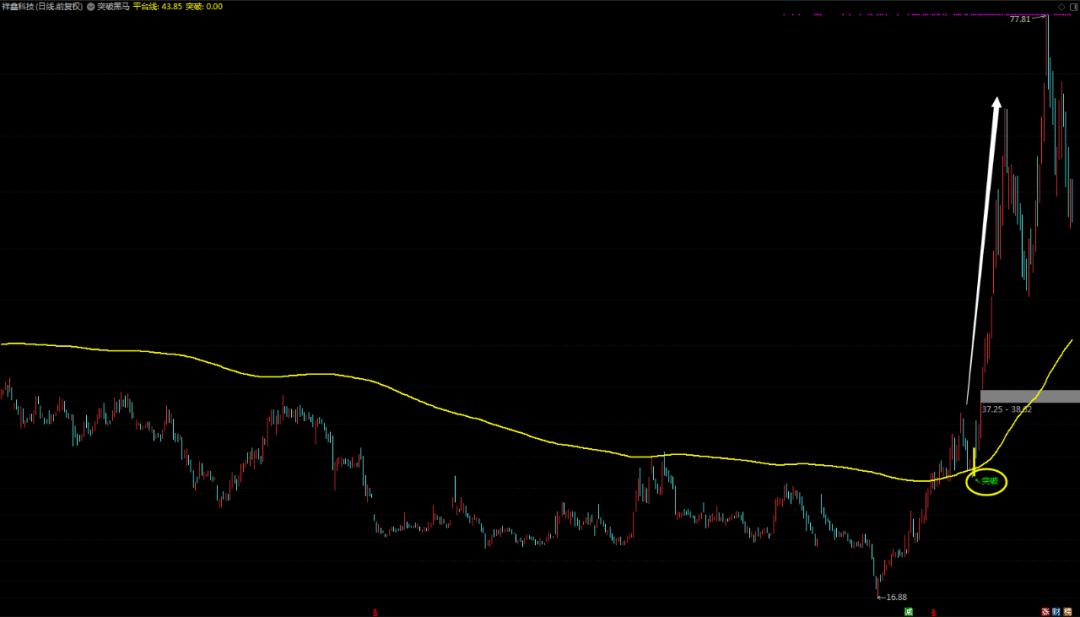 黑马翻倍指标,黑马指标分享
