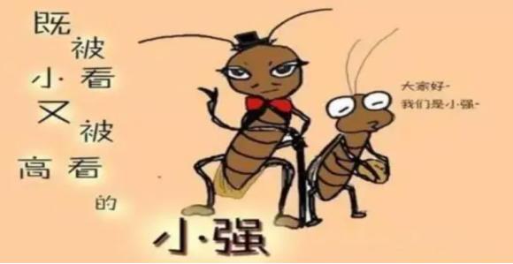 土方法灭蟑螂怎么正确消灭最彻底,灭蟑螂误区及正确的灭蟑螂方法