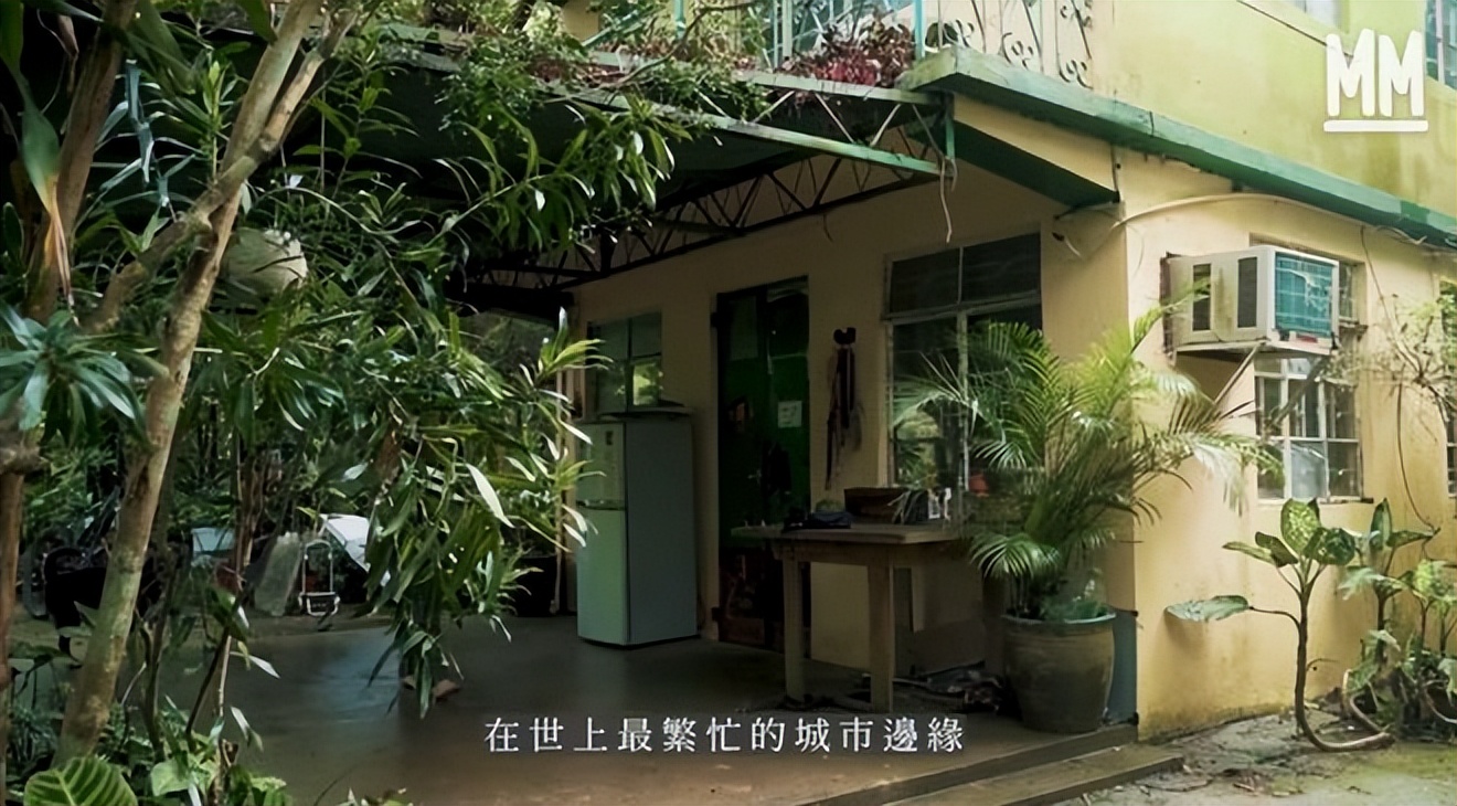 她隐居香港33年，坐拥天然泳池和农场，却用了一辈子二手货！