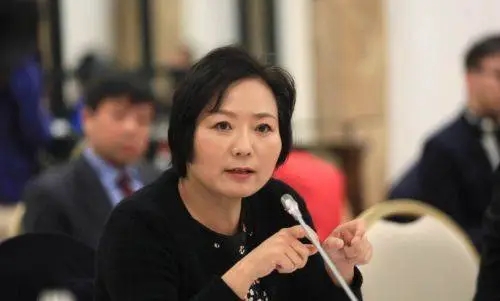 北京首富王健林雷军,2023北京首富