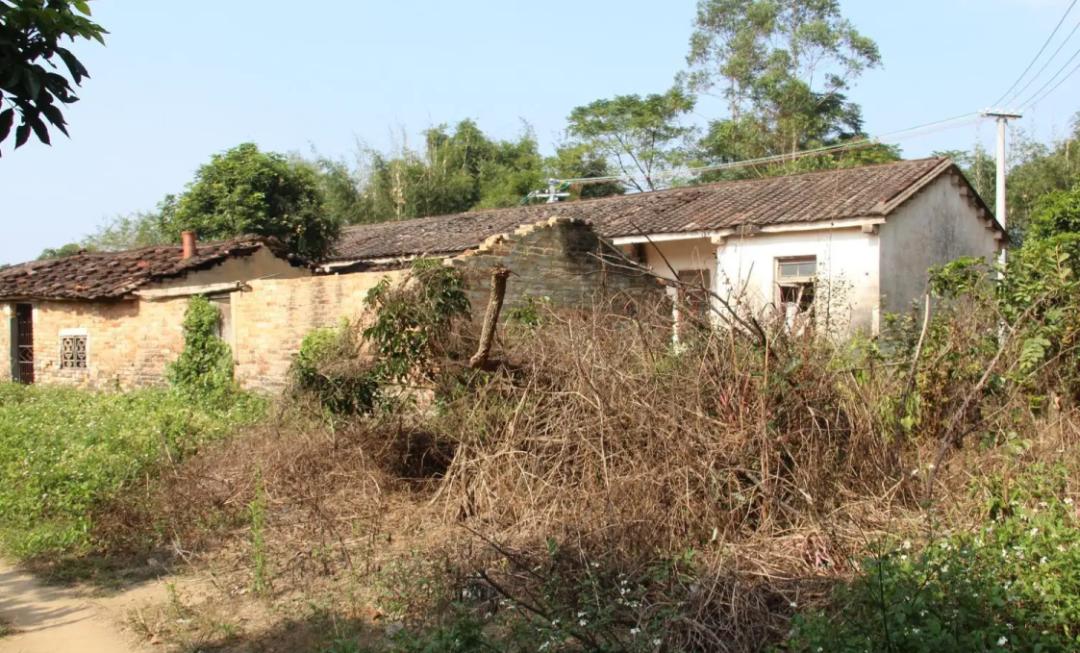 散文：一项有趣的晨练运动