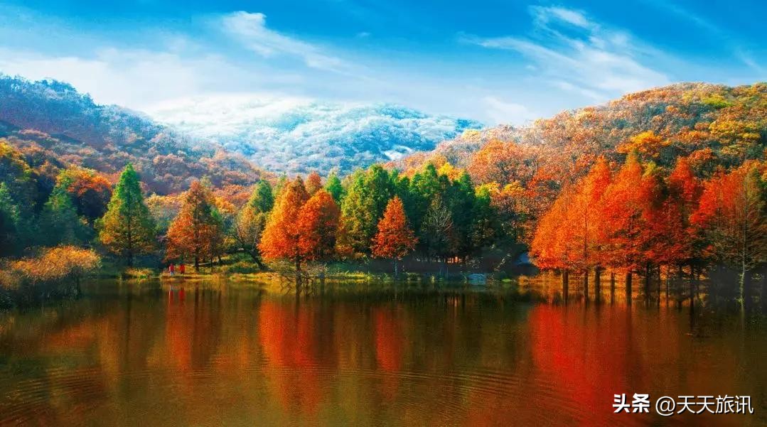 河南景点森林氧吧,河南五地入选中国天然氧吧