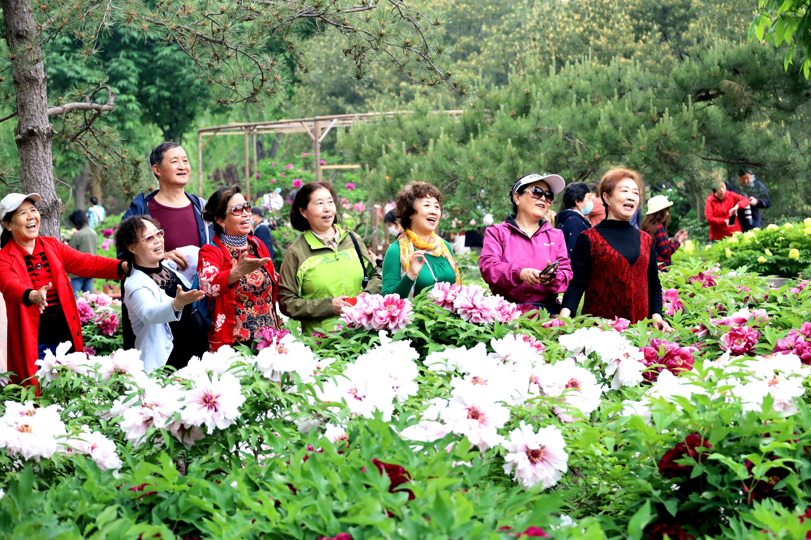 谷雨节气的习俗文字,谷雨节气风俗习惯