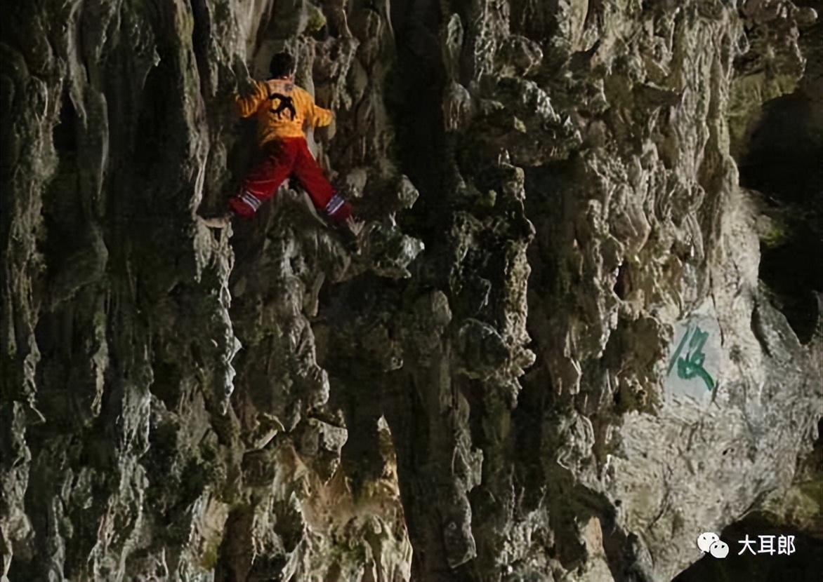 燕窝哪里找,寻找燕窝