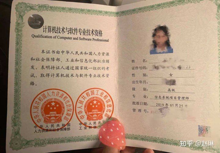 信息系统项目管理师职称评定,高级项目管理师是高级职称吗