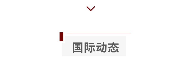 行业动态业内资讯,行业动向