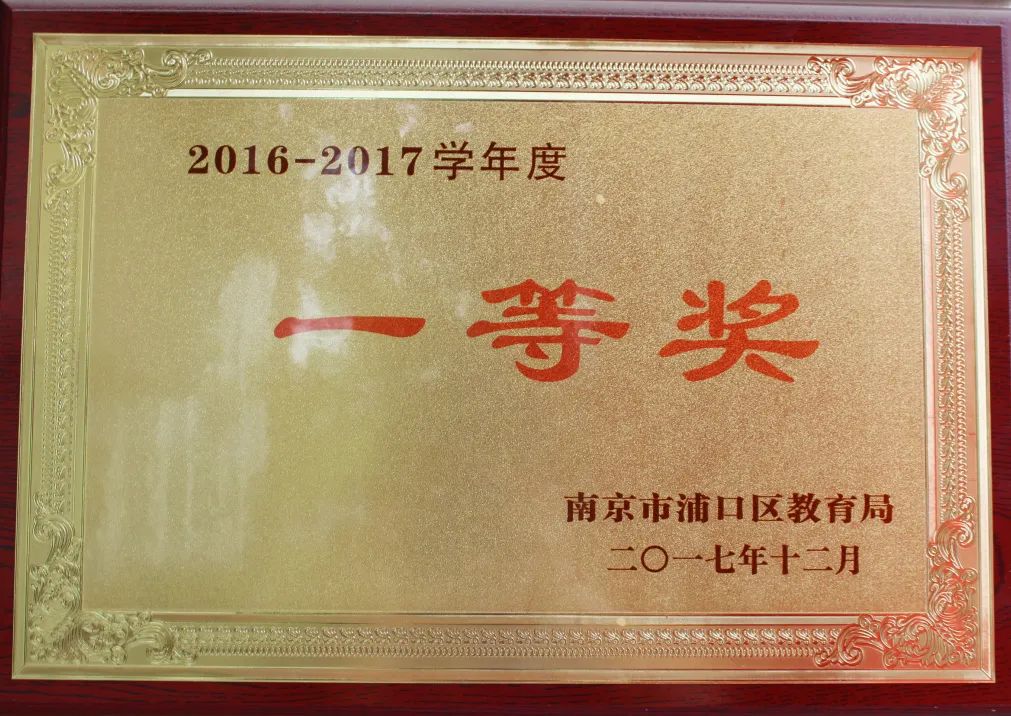 南京实验国际学校,遇见合适的你