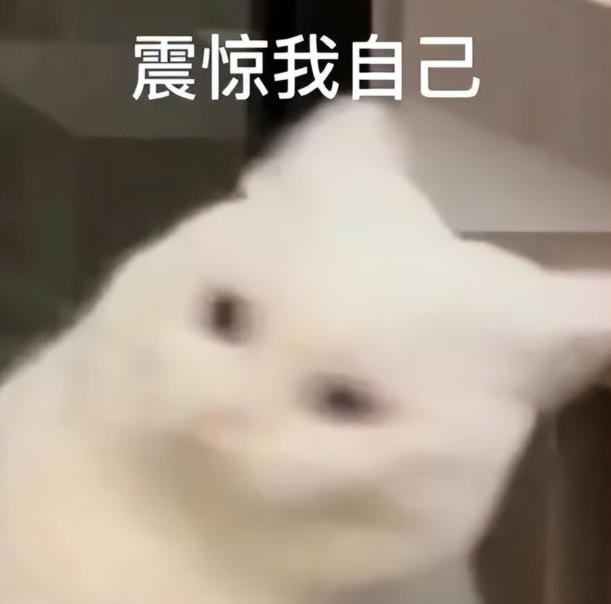 鐨囧鐚伯鑳戒笉鑳戒拱,涓嶆兂涔板搧鐗岀殑鐚伯