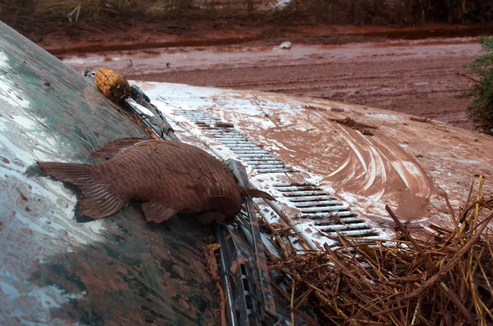 机器人总动员wallpaper,机器人总动员walle暗喻什么