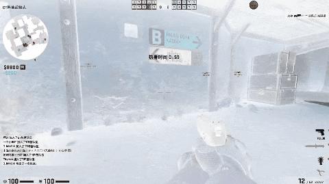 闪光弹进化,闪光弹真实情况