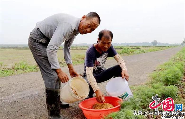 特色种植助农奔小康,瓜果飘香迎收获特色种植助农增收