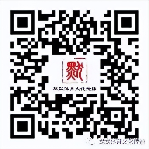 济南天乐康足球比赛,天乐康光合麦田杯