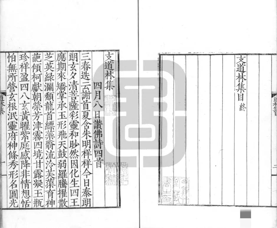 被忽略的百年名校,被忽视的文人