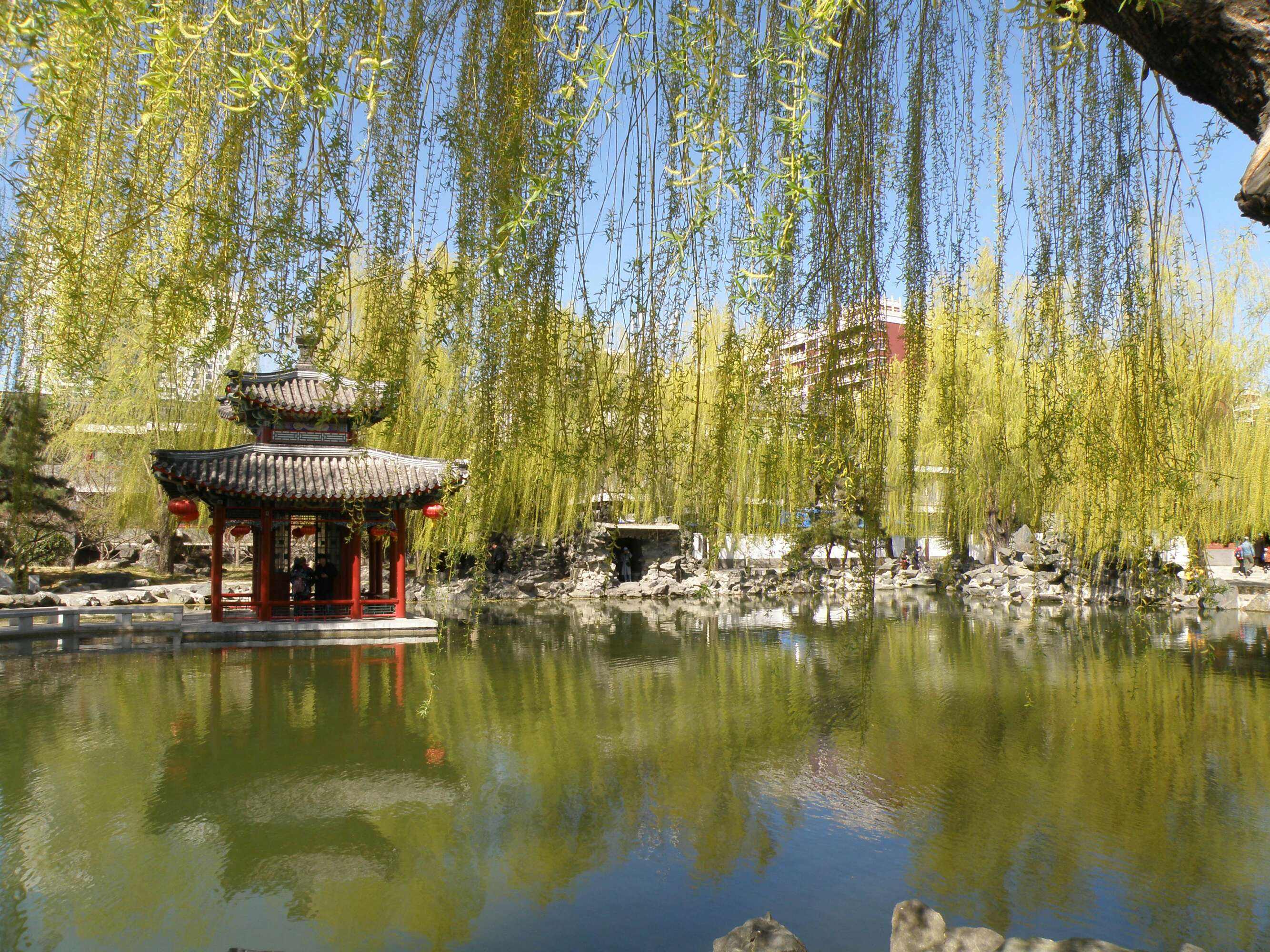 北京春天郊游踏青去哪里,4月北京最适合踏青赏花