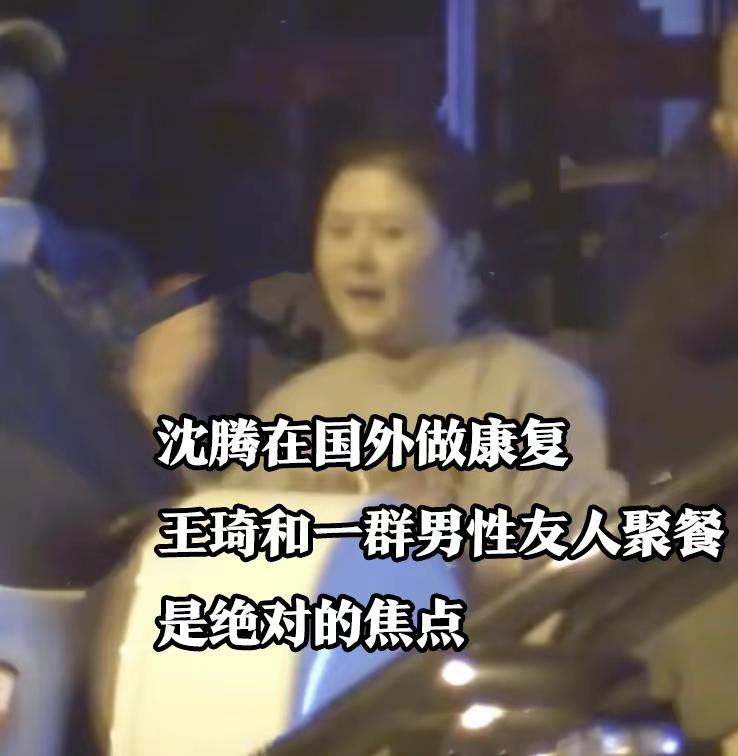 沈腾王琦婚姻现状近期,沈腾王琦现在婚姻状况