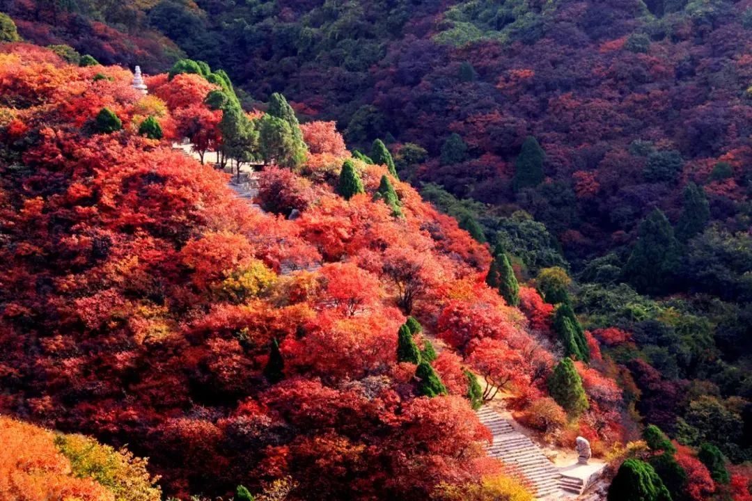 临朐小城,潍坊的临朐县