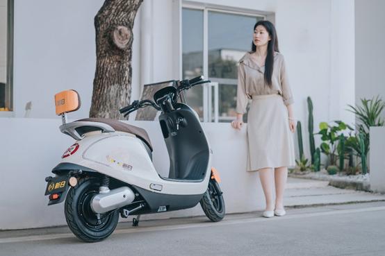 买锂电电动车需要注意什么,电动车新手入门锂电