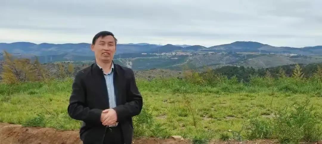 岁末感怀抒情散文,初春感怀赏析