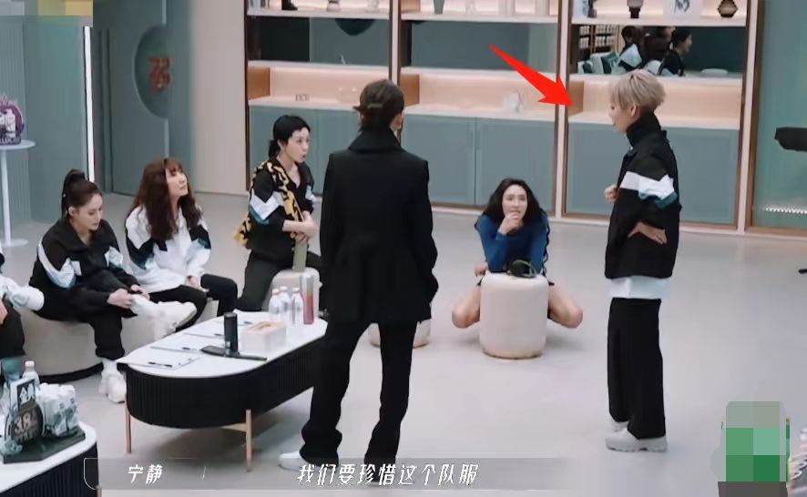 宁静李斯丹妮比拼,宁静李斯丹妮不合吗