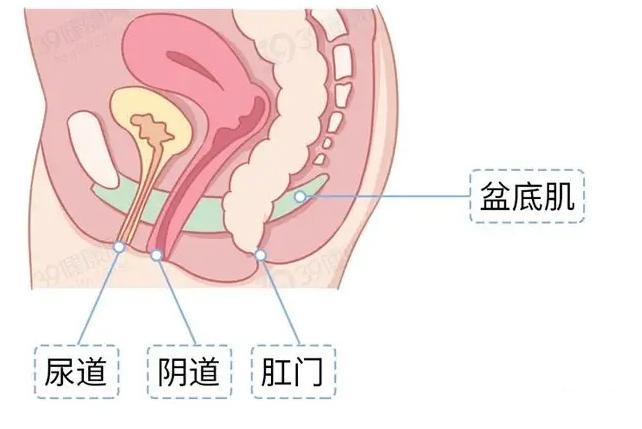 妇炎洁疑似发布涉黄广告，涉嫌*辱侮**女性并致歉，出现“太黑”词汇