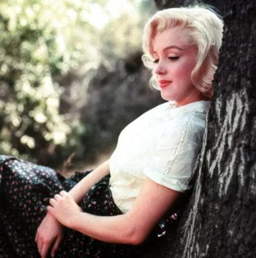 人间“毒药”，好莱坞玛丽莲·梦露的情史