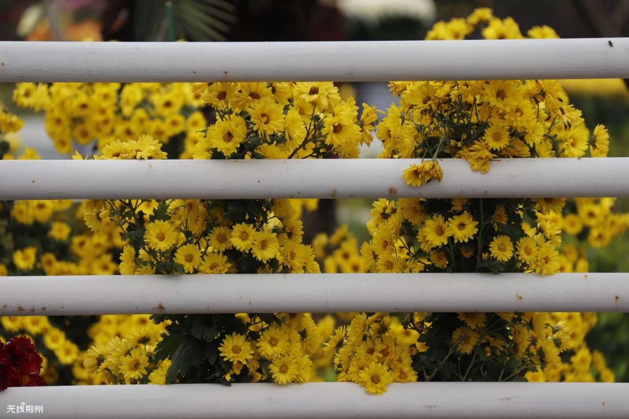 古诗词里关于友谊的唯美诗,8首友谊诗词