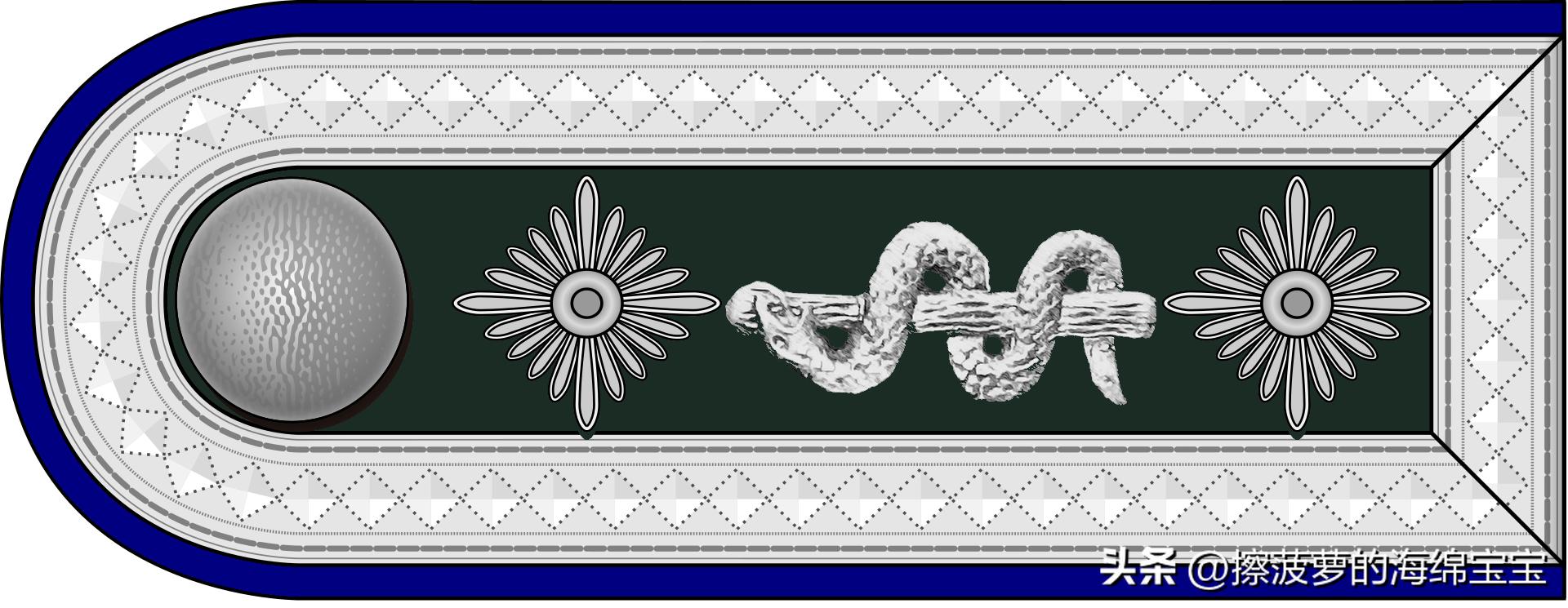 二战德国国防军医疗兵军衔标志