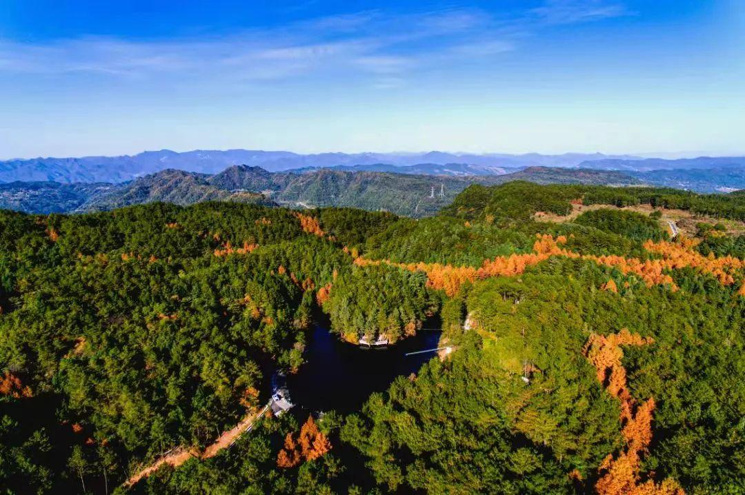 中国庭园风景区,中国庭园梨树