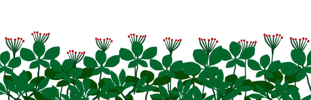 千年人参的传说有哪些呢,还有哪些关于人参的历史