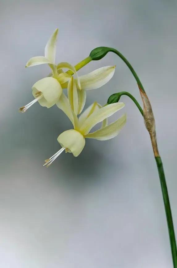 100种迷人的“数字花”,从零到一百万,真是太神奇了