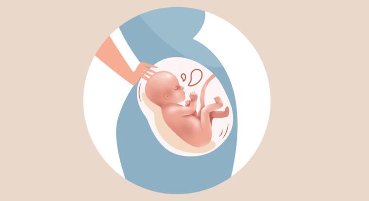 神奇的胎动35周拍到胎动瞬间,胎儿的胎动有哪些表现