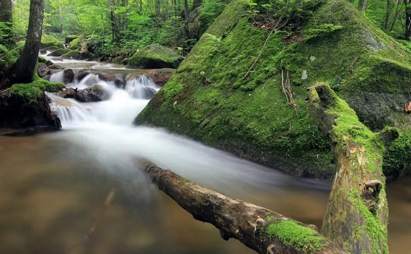 黑龙江景点小众,黑龙江冷门景点