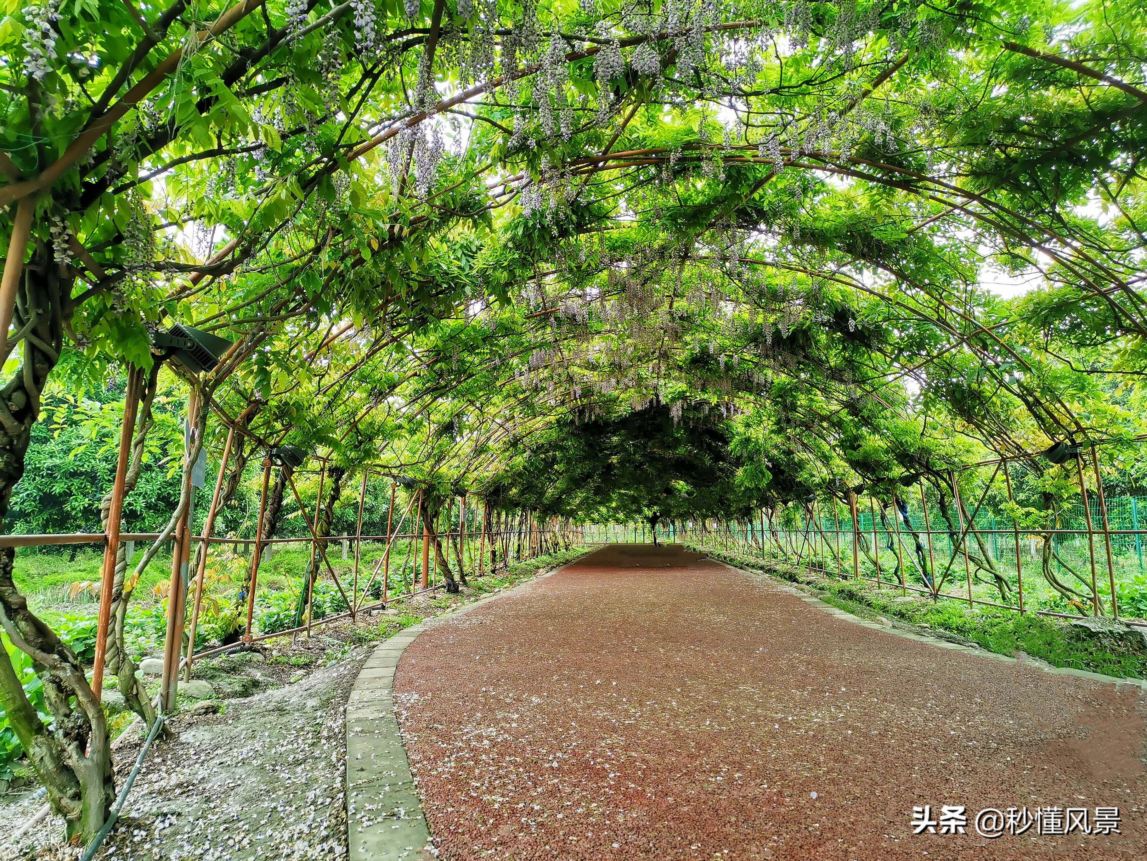 成都又潮又老的打卡胜地,现在成都周边网红景点一日游美景