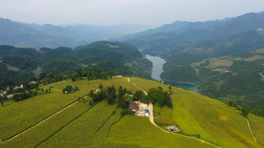 百年名匠酒业股份有限公司,贵州百年名匠酒业有限公司