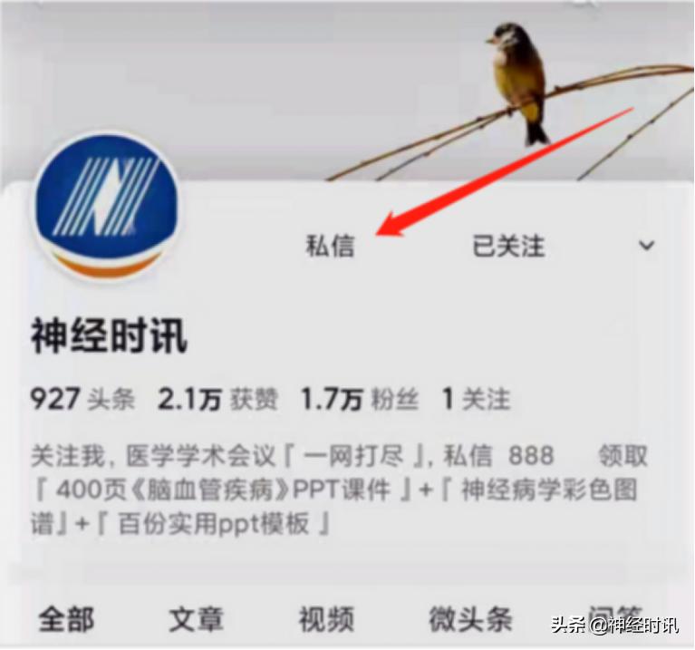 缺血性卒中血管内治疗指南2023,缺血性卒中血管内治疗指南老年人