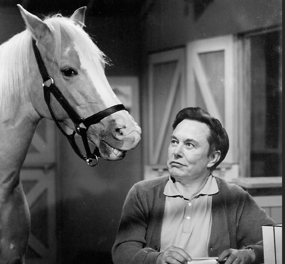 马斯克卷入性骚扰丑闻：要求空姐提供*服务性**？送马换“按摩”？