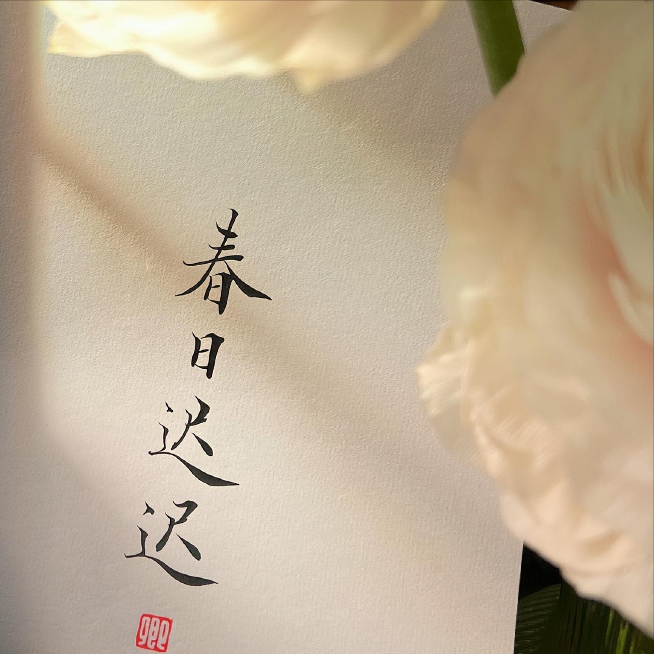 我将玫瑰藏于身后还你一生自由,我将玫瑰藏于身后带着遗憾远行