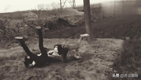 孽缘讲述一个女人被家暴的故事,孽缘一个长期被家暴的女人