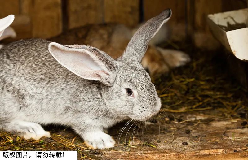 拉一次大便有两斤吗,拉一次屎能排多少毒
