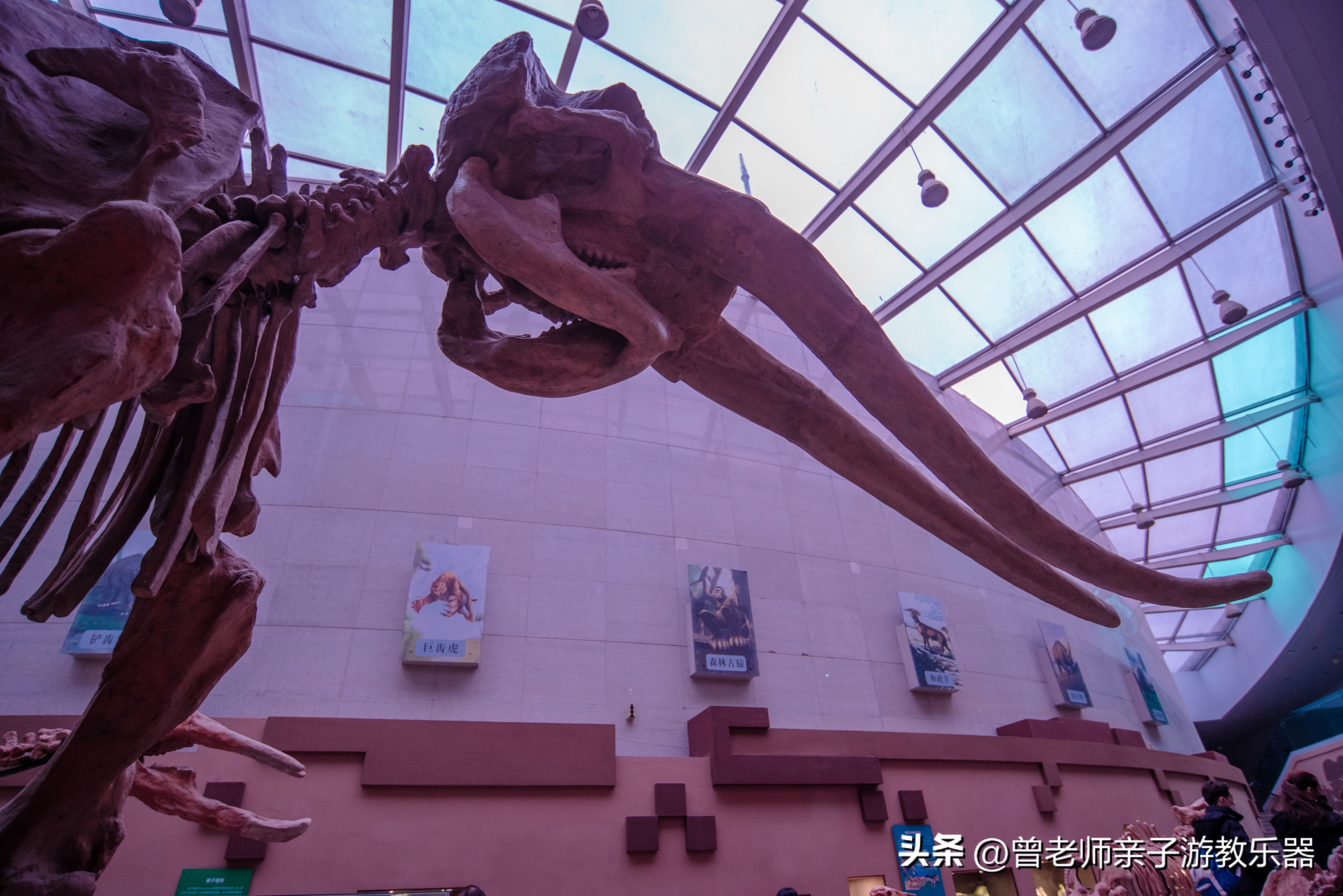 西安亲子游景点大全集,西安游玩攻略景点大全亲子