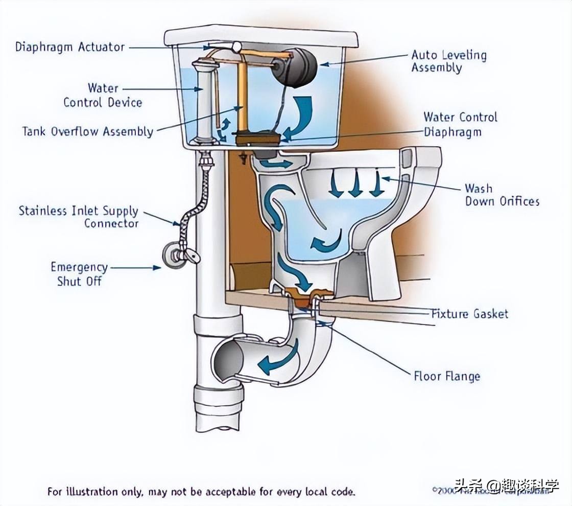 25楼有蛇是怎么回事,25楼家里出现蛇