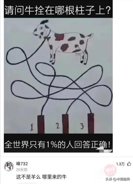 爆笑神回复:讲真心话,情侣间做过最夸张的事是什么?