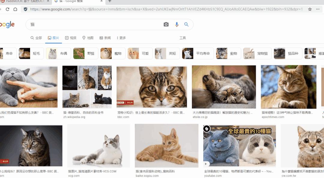 五款大神提取的工具神器，删繁就简