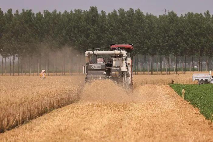 非凡十年看鹰城,非凡十年看烟台