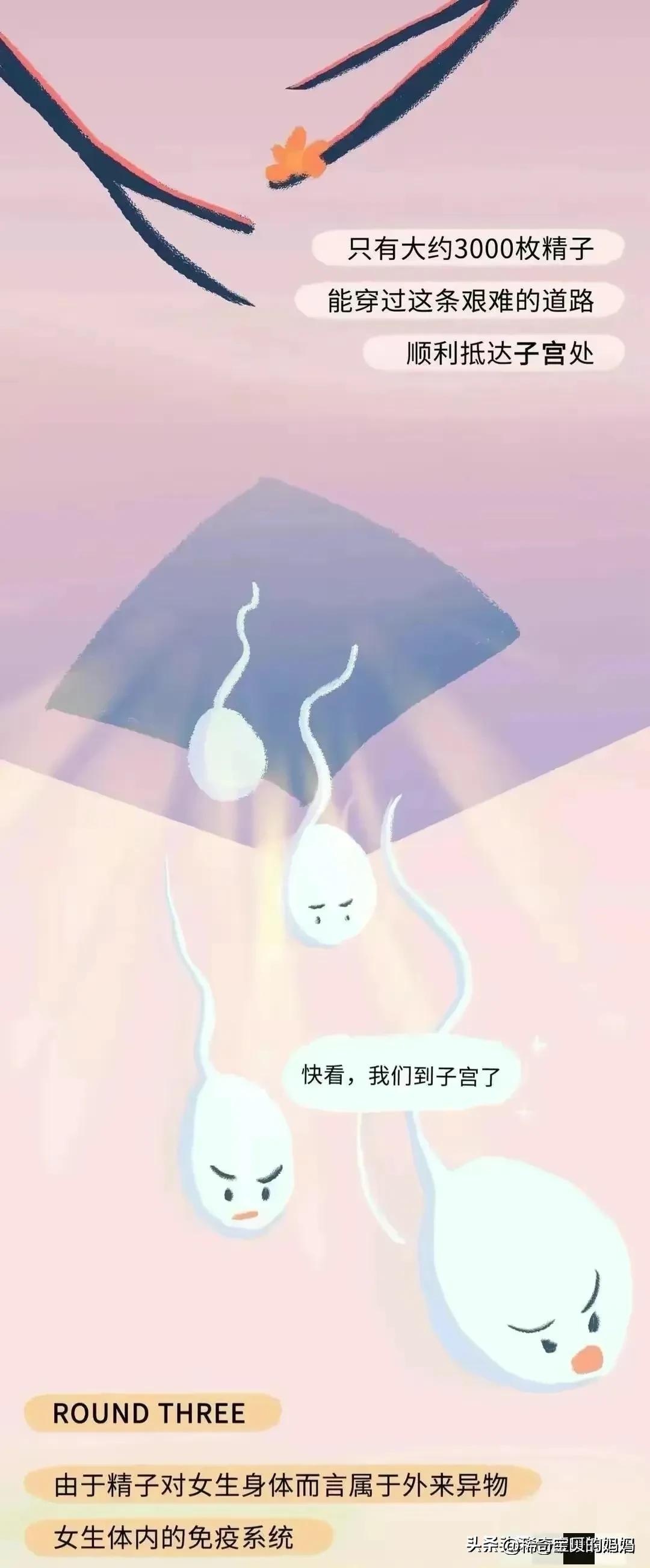 男生的“精子”进入女生体内，会发生怎样的变化？