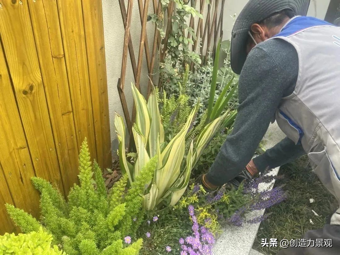 “满园春色”老客户回访日——最美人间四月天，不负*光春**不负你