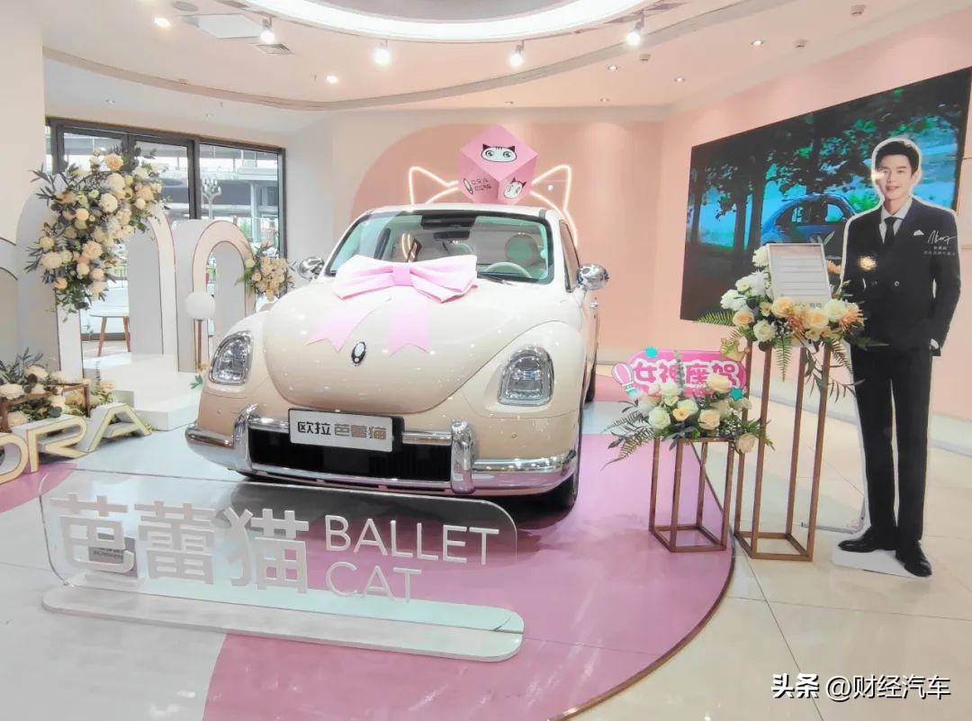 被割韭菜的欧拉车主,欧拉猫割韭菜