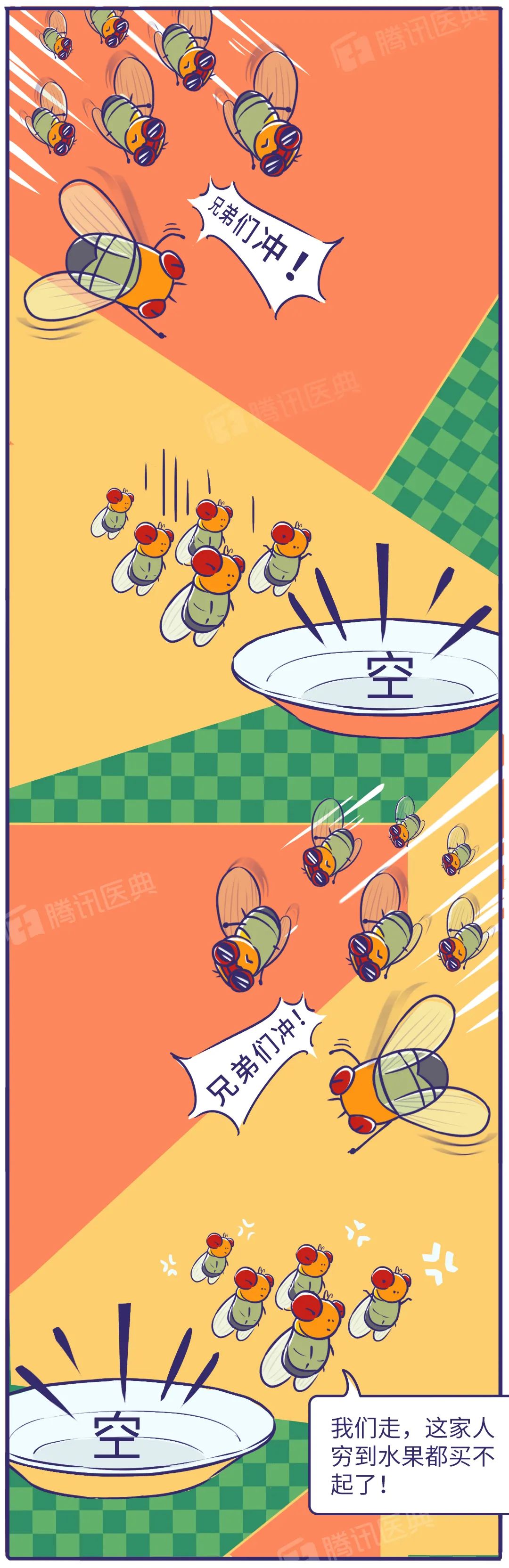 家里有很多黑色小飞虫是什么原因,家里总有黑色小飞虫怎么解决