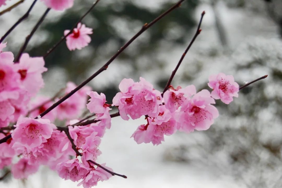 石家庄下雨哪里风景最美,石家庄冬季风景好的地方